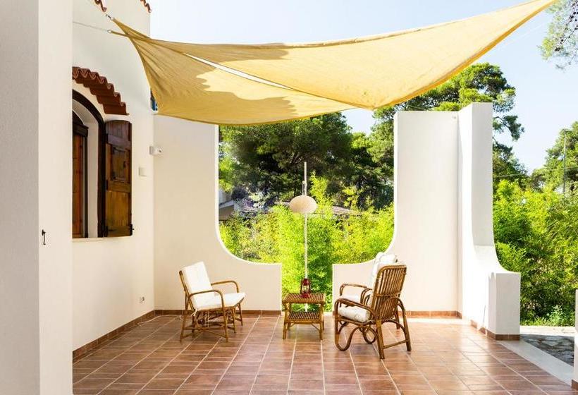 پانسیون Ad Astra