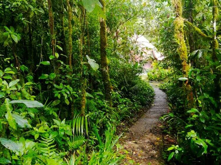 بنسيون Cabañas Las Orquideas