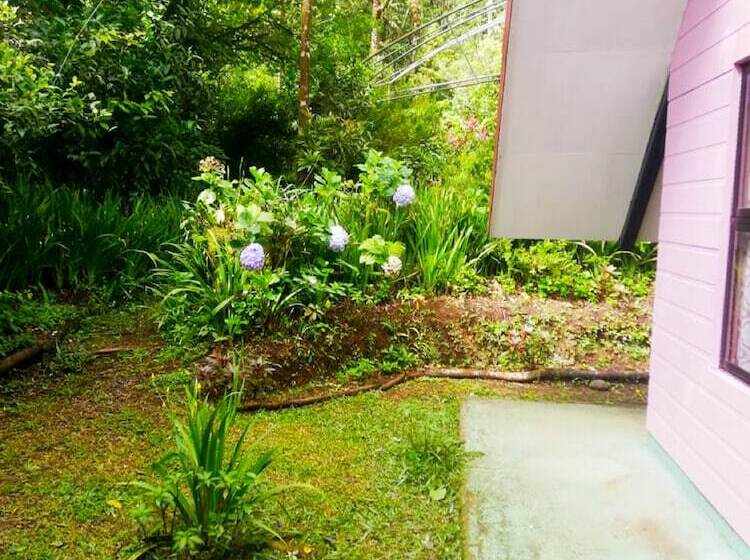 بنسيون Cabañas Las Orquideas