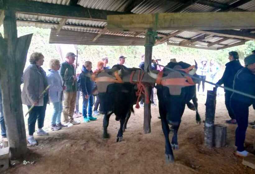 بنسيون Cabañas Las Orquideas