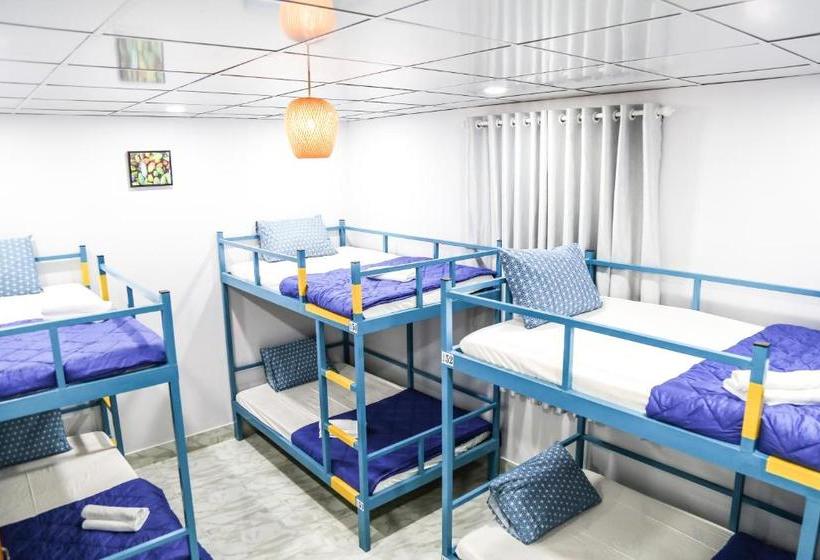 پانسیون Rabbit Hostel Can Tho