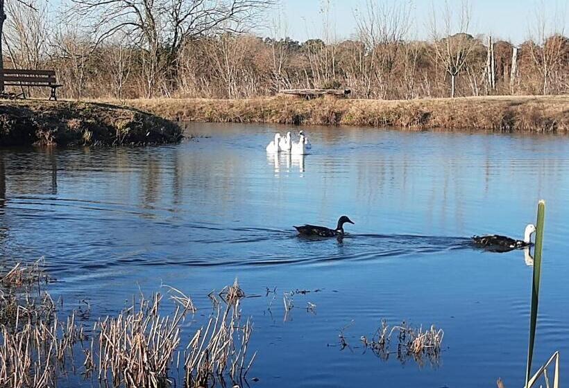 민박 El Tramway Casa Antigua De Campo