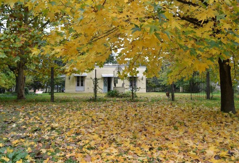 ベッドアンドブレックファースト El Tramway Casa Antigua De Campo