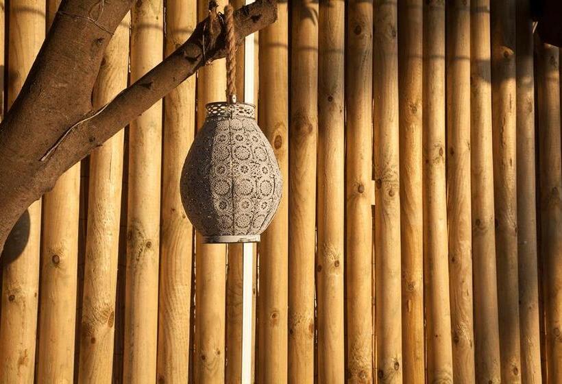 住宿加早餐  Ritual Sunset Lover