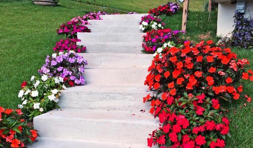 ホテル Eco Pousada Quaresmeiras