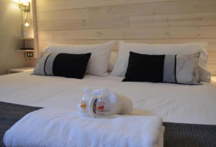 فندق Hostal Boutique Puerta Roja