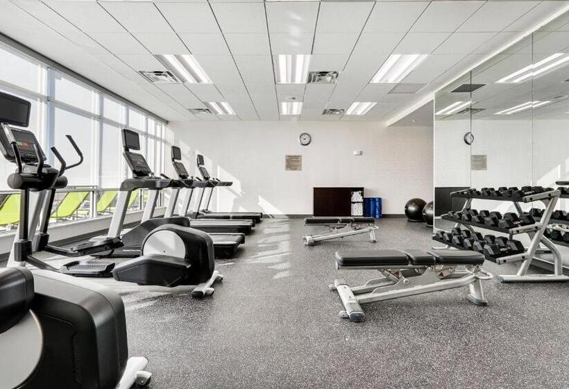 ホテル Springhill Suites By Marriott Dallas Mansfield