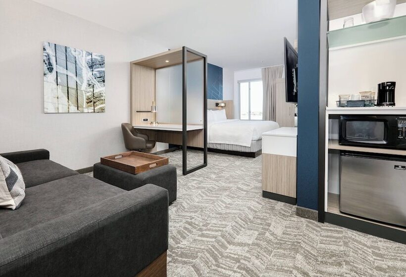 ホテル Springhill Suites By Marriott Dallas Mansfield