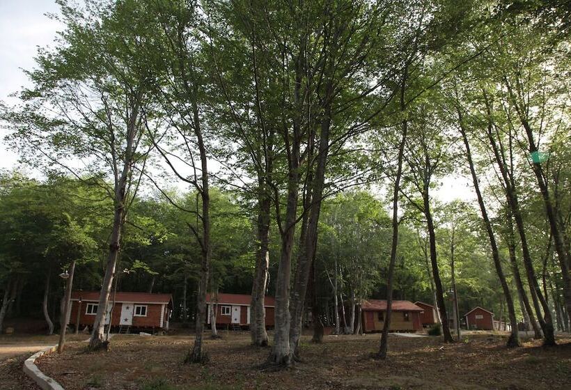 호텔 Yıldız Country