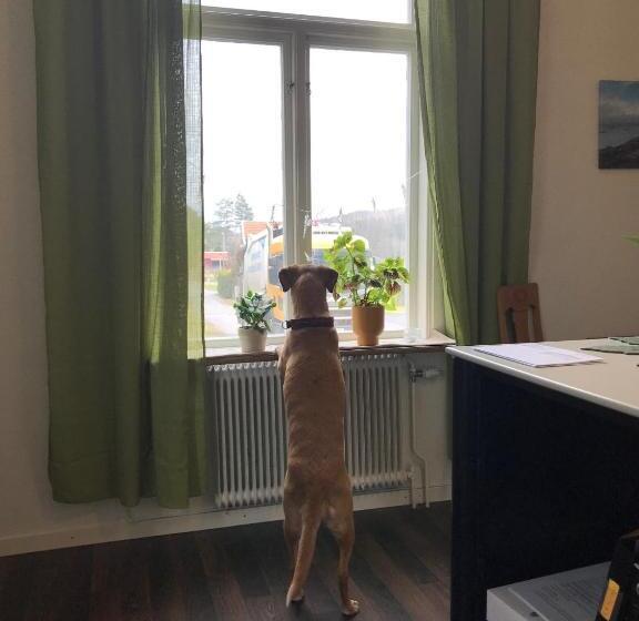 Hunnebergs Gård Hostel & Camping