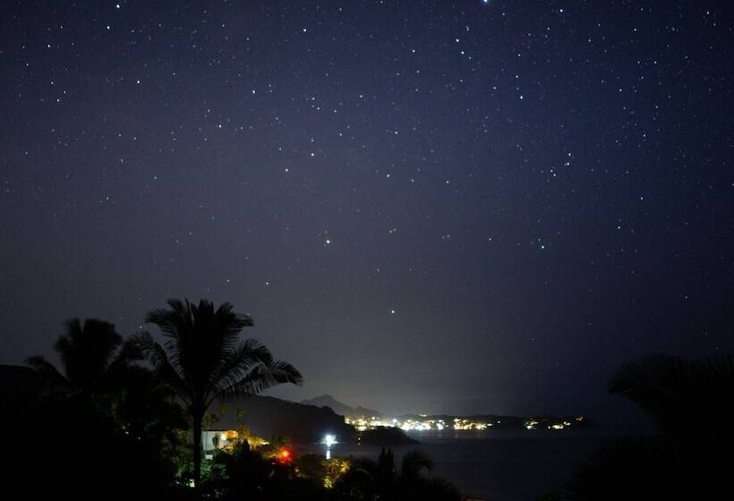 פנסיון Special Place Where You Combine The Peace Of The Jungle With The Ocean View