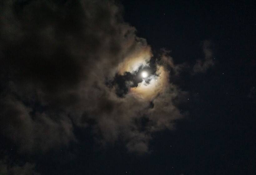 ペンション Special Place Where You Combine The Peace Of The Jungle With The Ocean View