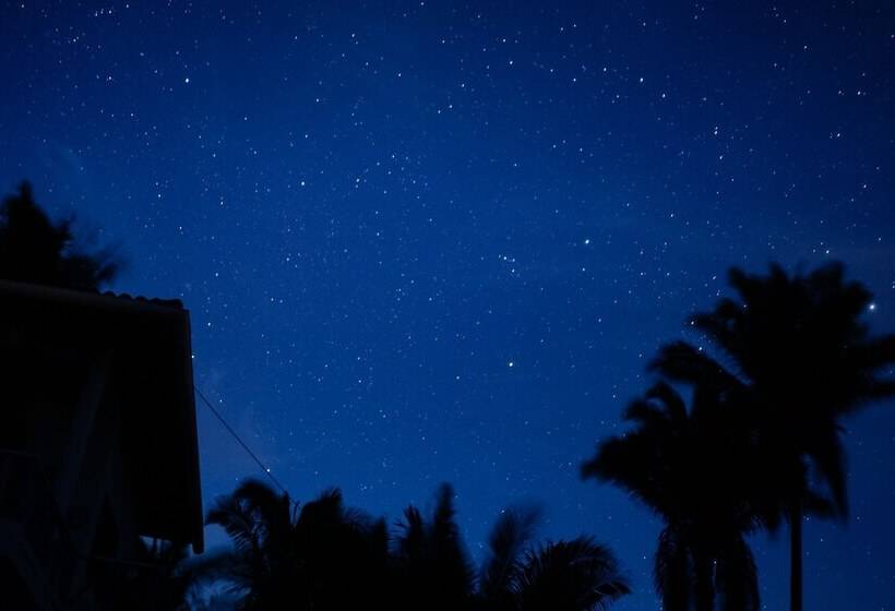 פנסיון Special Place Where You Combine The Peace Of The Jungle With The Ocean View