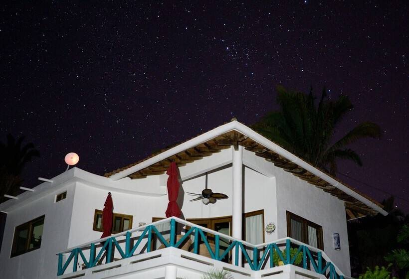 פנסיון Special Place Where You Combine The Peace Of The Jungle With The Ocean View