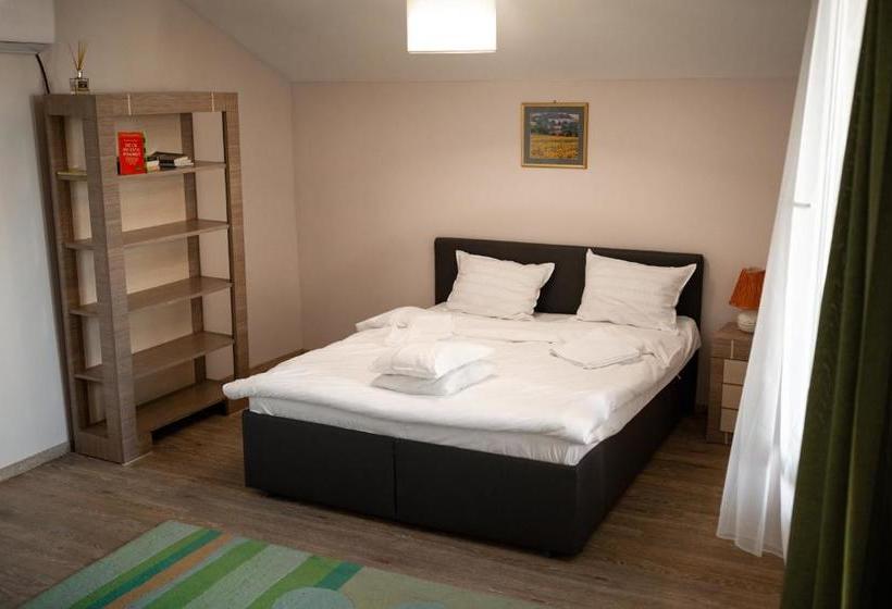 Viking Apartment Grigo