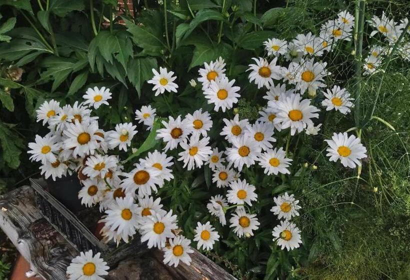 Fsc Flatford Mill Hostel