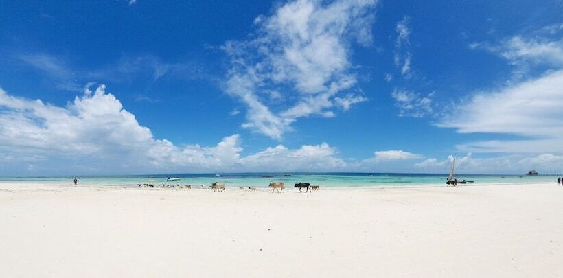 Отель Arya Boutique Resort