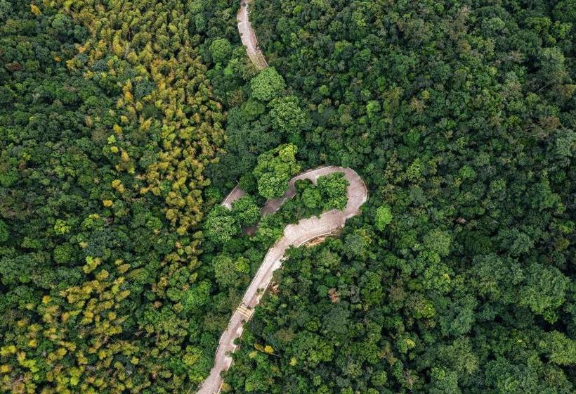 ホテル Hyatt Place Deqing