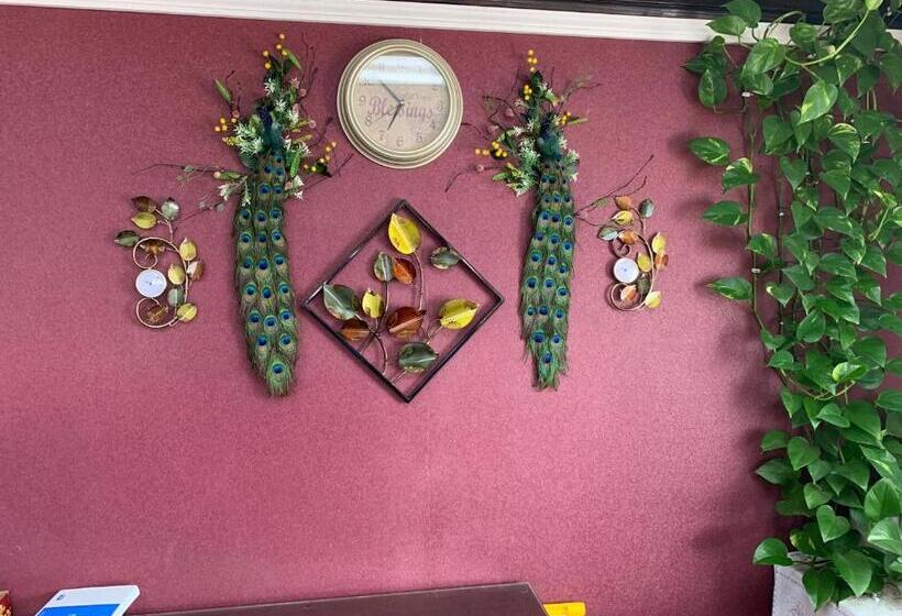 Отель Regency Inn