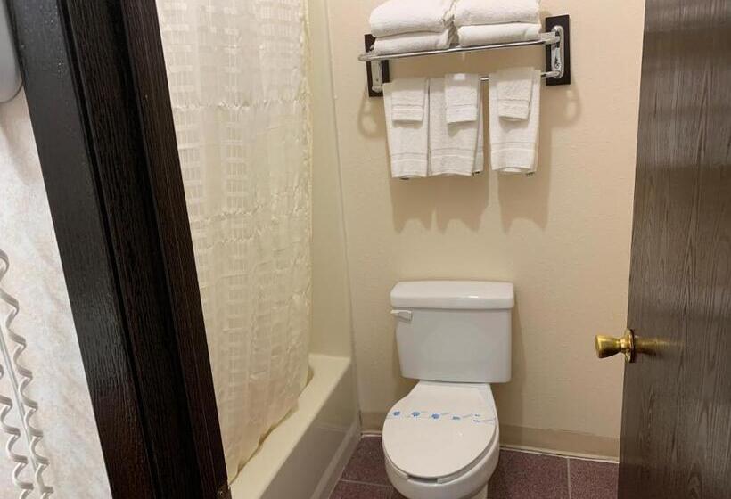 Отель Regency Inn