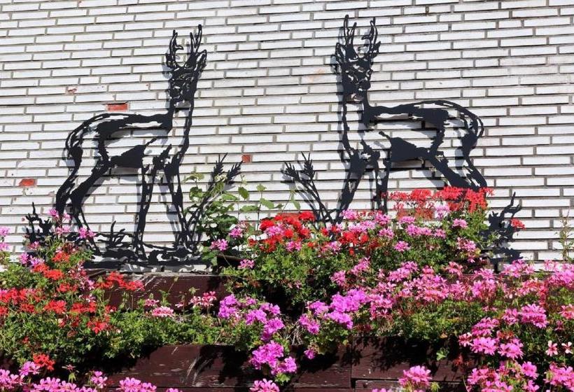 膳宿费 Gretel Von Birne