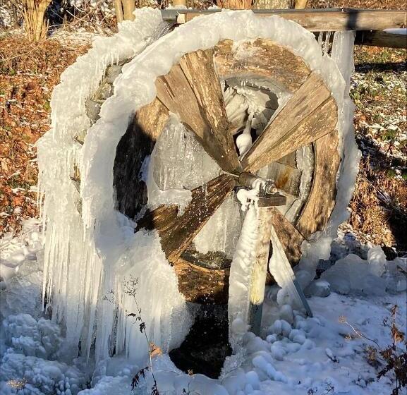 膳宿费 Gretel Von Birne