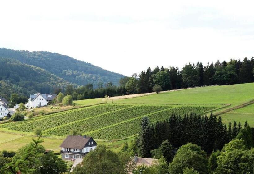 膳宿费 Gretel Von Birne