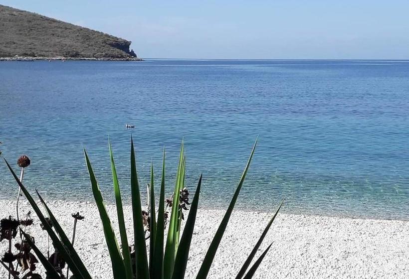 פנסיון Olive Lodge