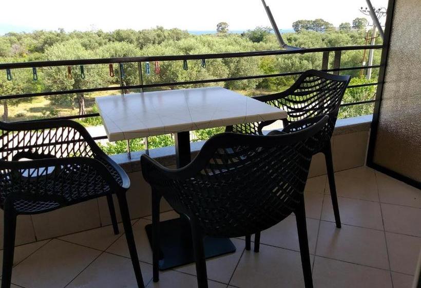 פנסיון Olive Lodge