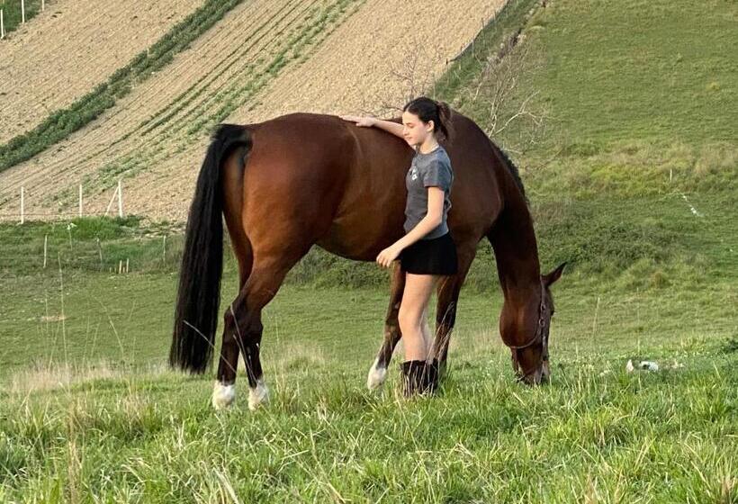 リゾートホテル Tenuta Lisetta