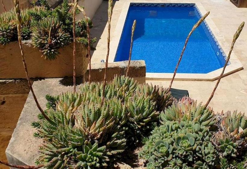 هاستل Ta Victoria B&b