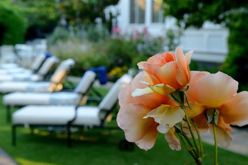 مبيت وإفطار The White House Napa Valley