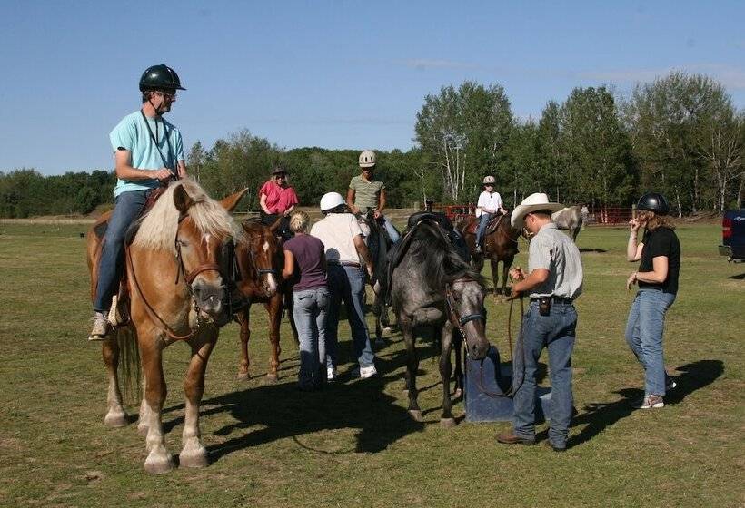 استراحتگاه The Highlands At Harbor Springs
