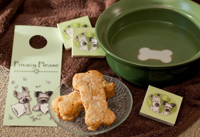 مبيت وإفطار Brampton 1860