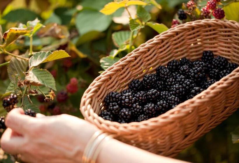 مبيت وإفطار Brampton 1860