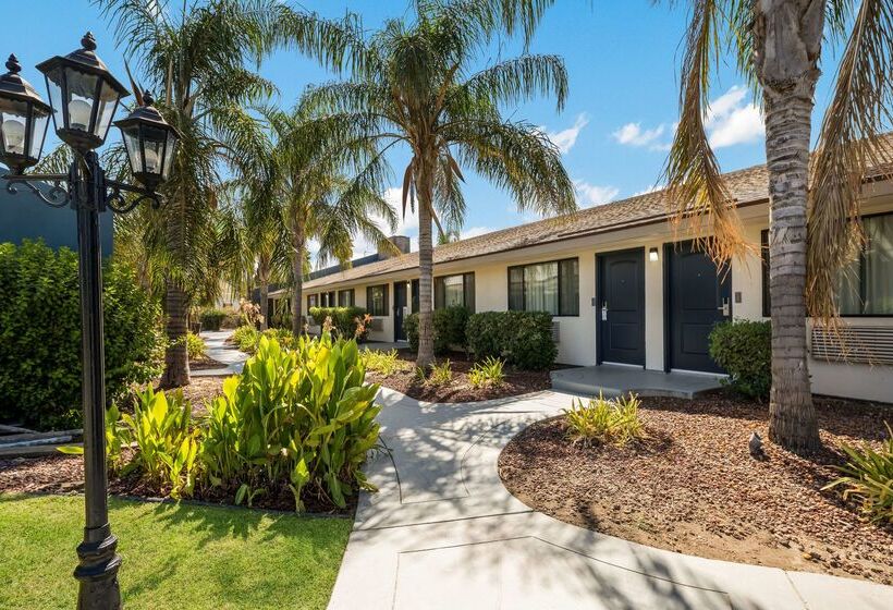 فندق Best Western Big Country Inn