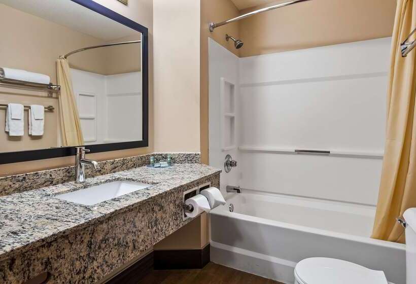 فندق Best Western Dodgeville Inn & Suites