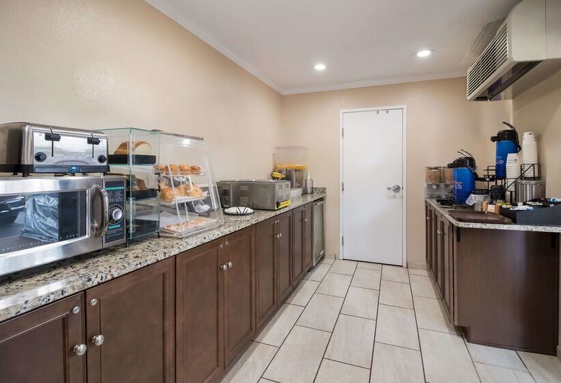 فندق Best Western Mckenzie