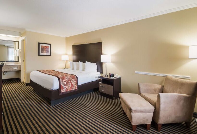 فندق Best Western Mckenzie