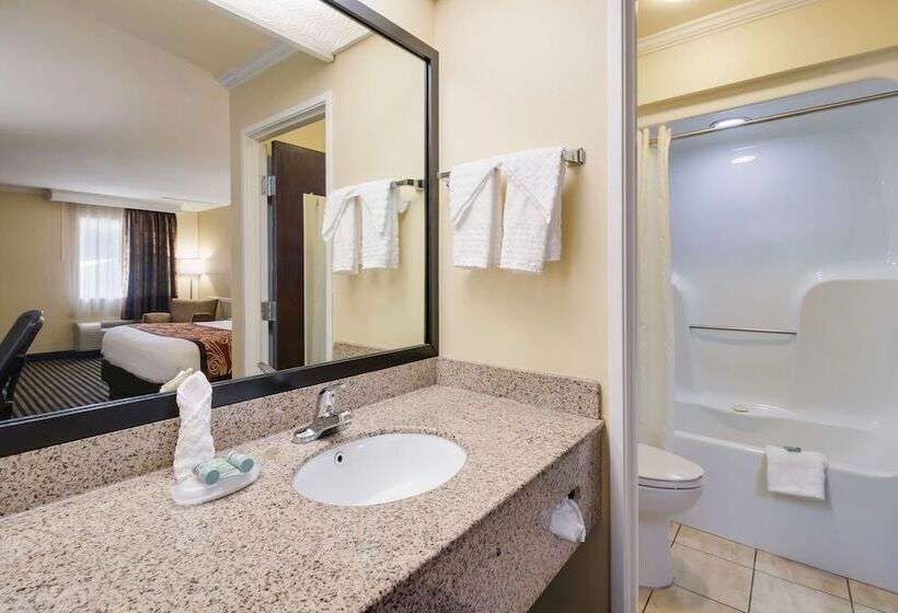 בית מלון כפרי Best Western Mckenzie