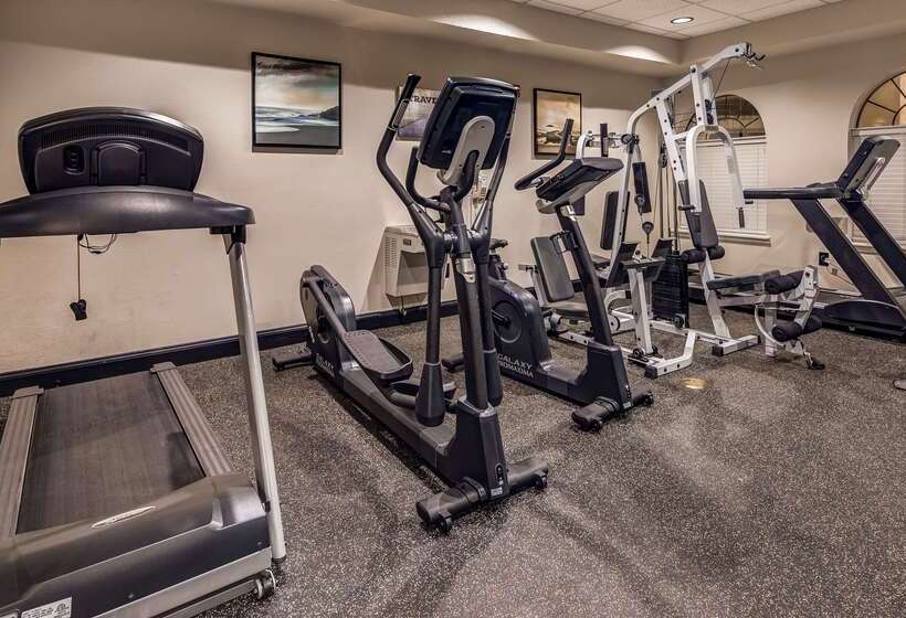 هتل Best Western Plus Heritage Inn Houston