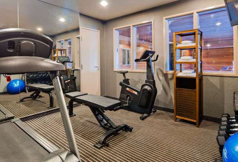 בית מלון כפרי Best Western Plus Rama Inn & Suites