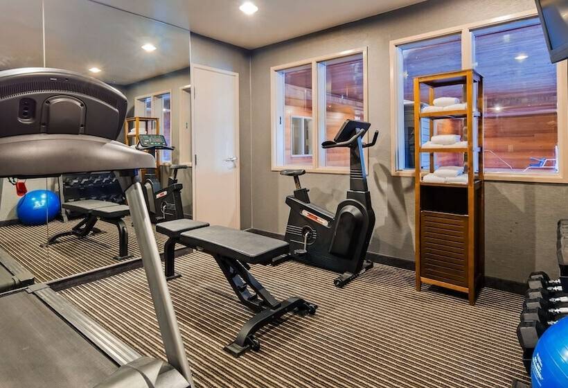 בית מלון כפרי Best Western Plus Rama Inn & Suites