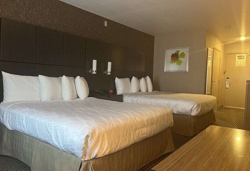 בית מלון כפרי Best Western Plus Rama Inn & Suites