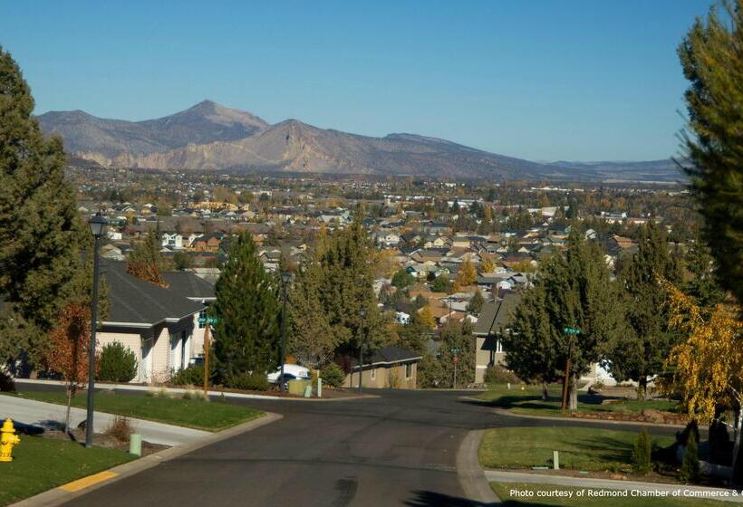 فندق Best Western Plus Rama Inn