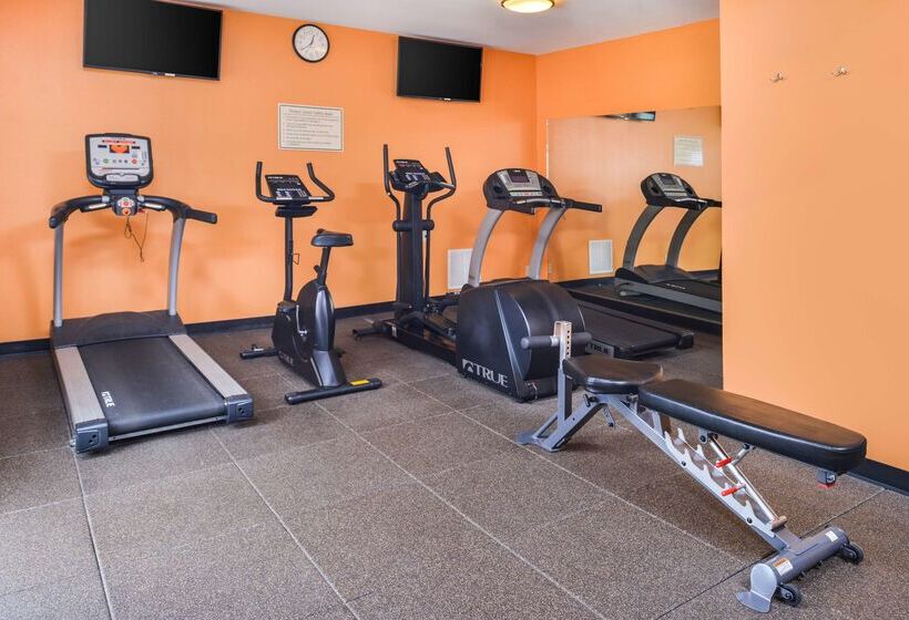 فندق Best Western Plus Rama Inn