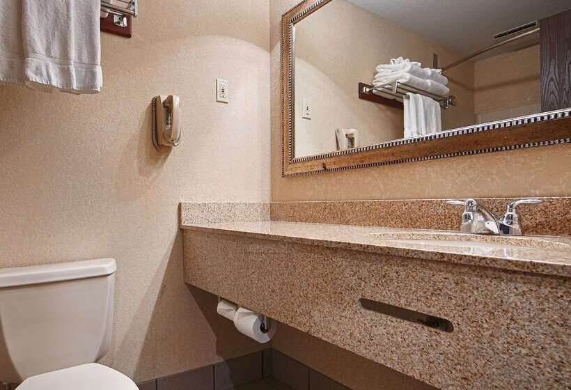 فندق Best Western Plus Rama Inn