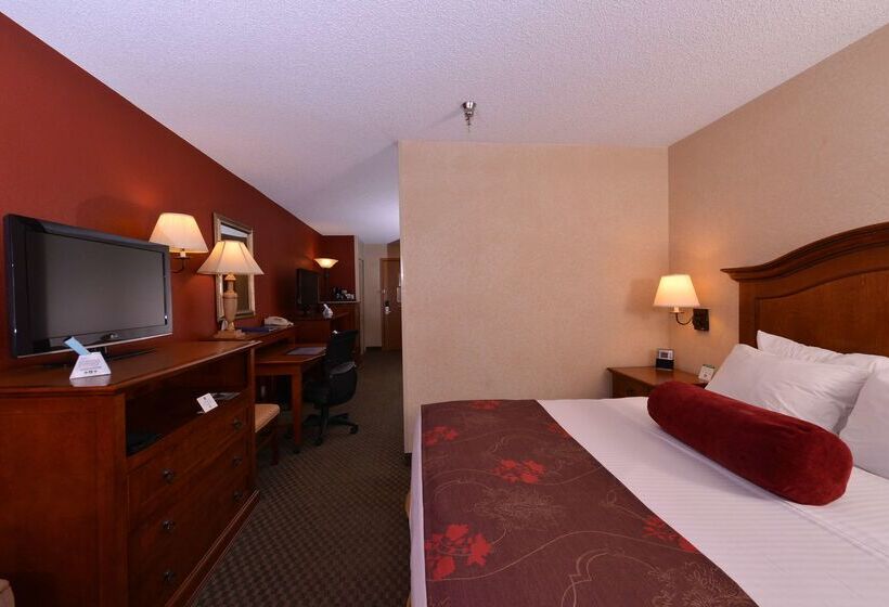 فندق Best Western Plus Rama Inn