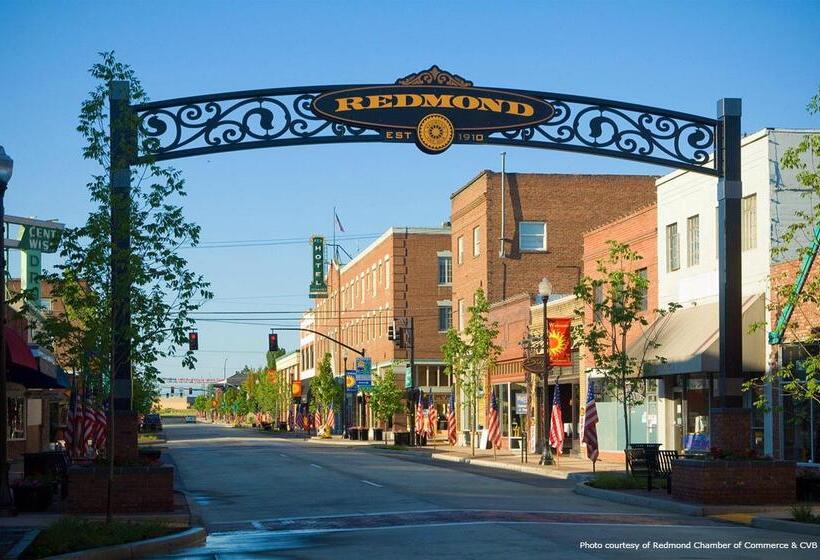 فندق Best Western Plus Rama Inn