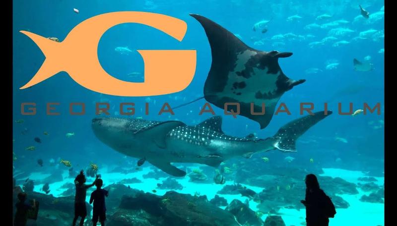 فندق Best Western Plus Roswell/alpharetta